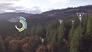02. Mapping the future of our forests with Microsoft AI Image